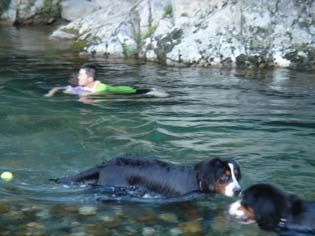 at the river_dog_5.jpg