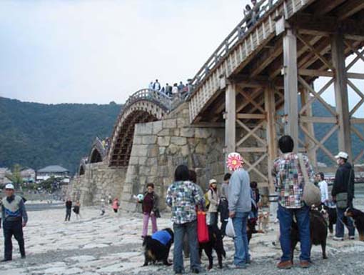 cherry‐blossom viewing at Kintaikyo_1.jpg