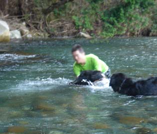 at the river_dog_6.jpg