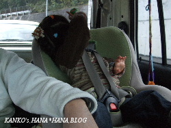 きてる？きてる？