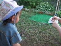 アゲハチョウと対面