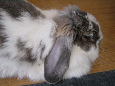 なっちゃん 001.JPG