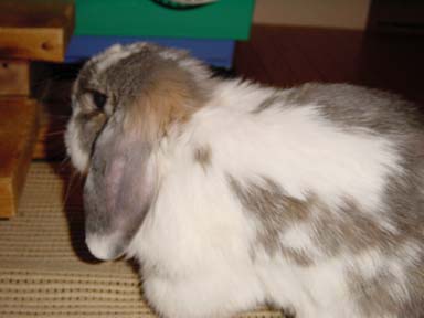 なっちゃん 002.JPG