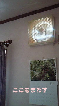 2008081kankisen2.jpg