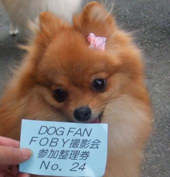 DOGFAN撮影会