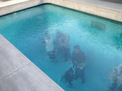 パパ　in the pool.jpg