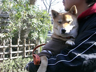 行列でねむねむ