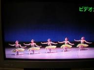 DSCN3271.JPG