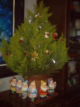 2007クリスマスツリー