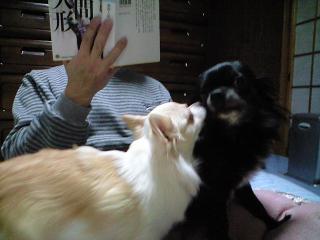 2009-01-24 19:48:27