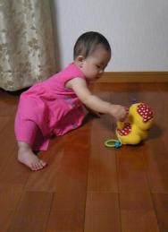 しっぽを捕まえ