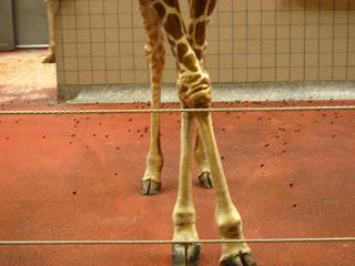 IMG_7640-1.JPG