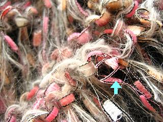 IMG_8569-1.JPG