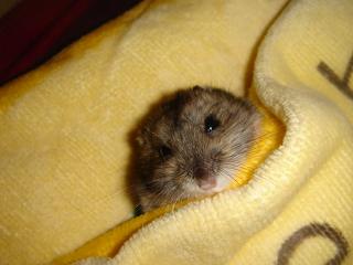 新しいフォルダ2 743.jpg