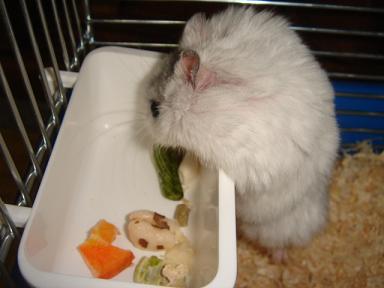 まずいんげんから.jpg
