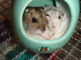 新しいフォルダ2 683.jpg