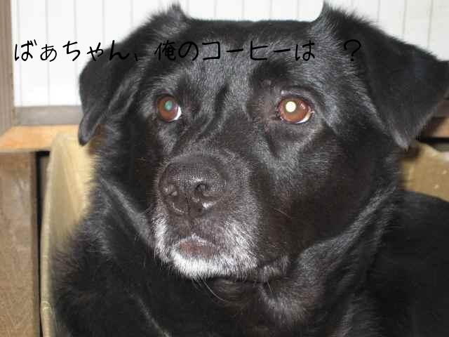 早く、飲みたいんやけど～。