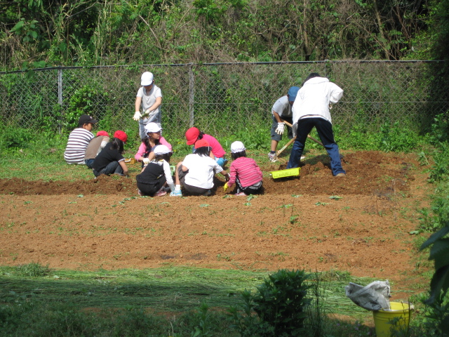小学校の畑