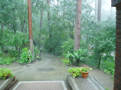 雨が02.gif