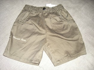20080716003s.JPG
