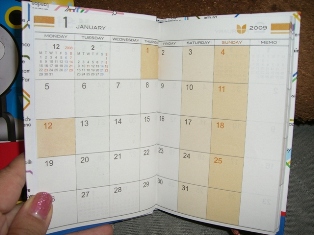 20081103003s.JPG