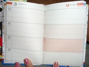 20081103004s.JPG