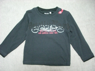 20080611002s.JPG