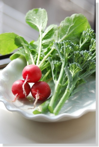 5/1ラディッシュ+セニョール