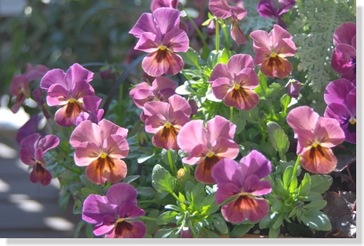 おしゃべり・・