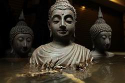 111028 Budda250x166.JPG