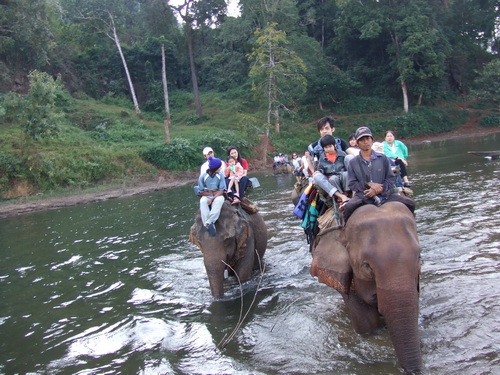 Elephant Trip 2.jpg