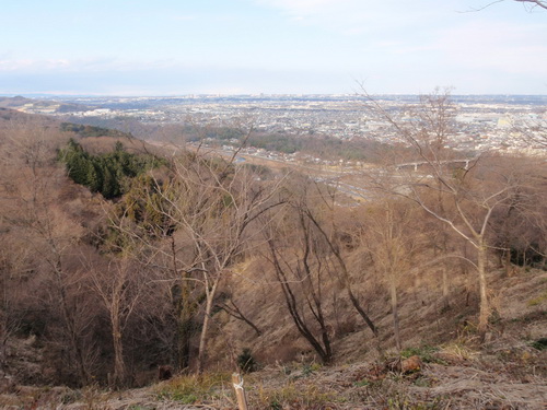 鳶尾山から東京方面.jpg