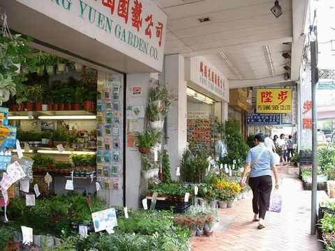 flower-shop.jpg