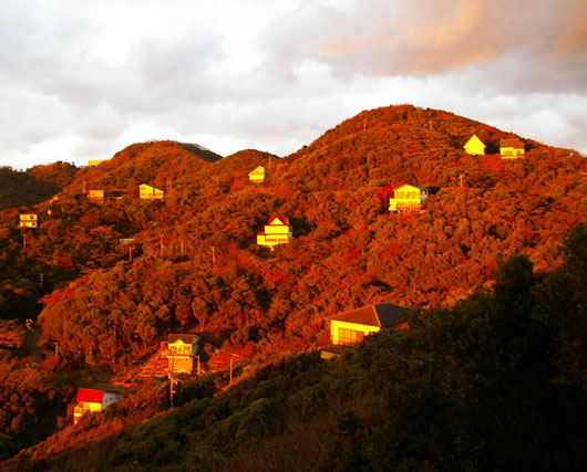 金色の山