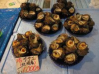 P9100040.jpg