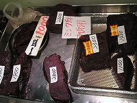 P9100035.jpg