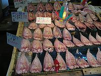 P9100026.jpg