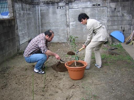 記念植樹