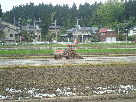 田植え前.JPG