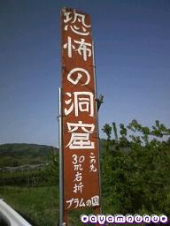 ﾄﾞｰｸﾂ