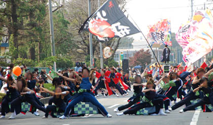 おかべコスモス祭2011・１１