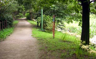 別府沼公園のヒガンバナ080918・３