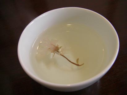 騎崎屋　さくら茶