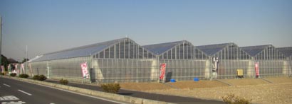 Berry's farm HASEGAWA・２