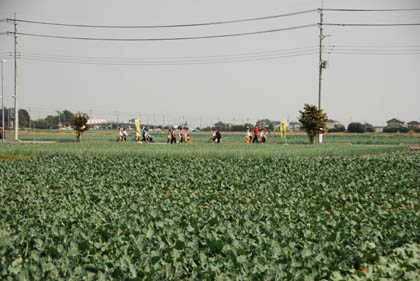 おかべコスモス祭2011・１２