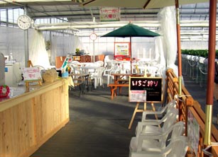 Berry's farm HASEGAWA・３