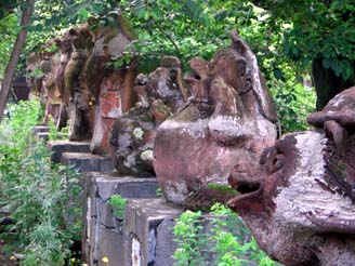 茂林寺のタヌキ