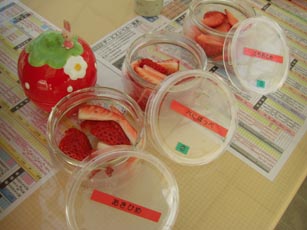 Berry's farm HASEGAWA・６