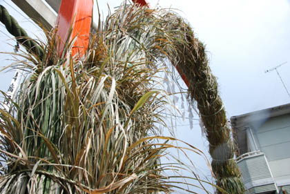 赤城神社胎内くぐり2011・３