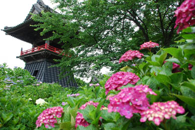 能護寺2010.6.21・２